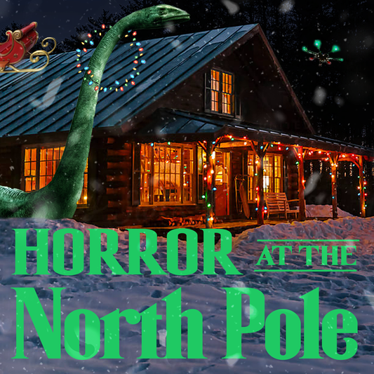Fun Christmas murder mystery party for the family this holiday! 